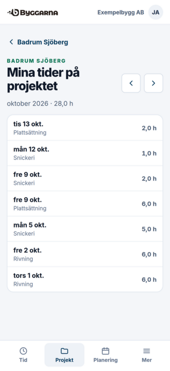 04-mina-tider-pa-projektet.png